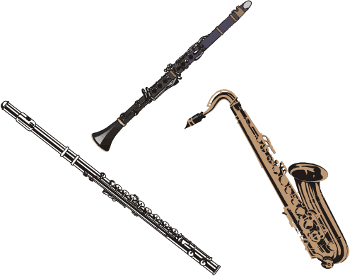 A flute, a clarinet, and a saxophone.